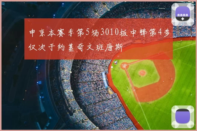 申京本赛季第5场3010板中锋第4多仅次于约基奇文班唐斯