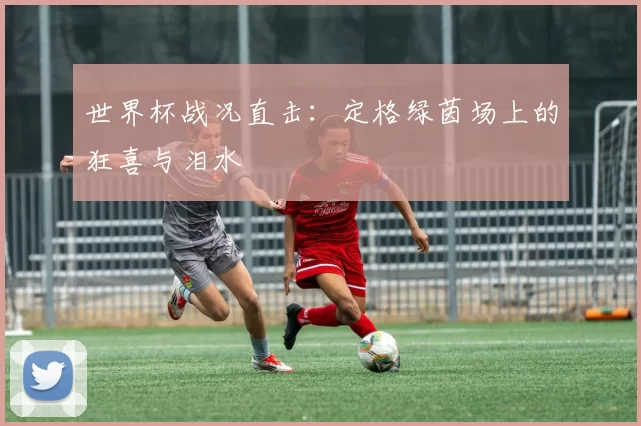 世界杯战况直击：定格绿茵场上的狂喜与泪水