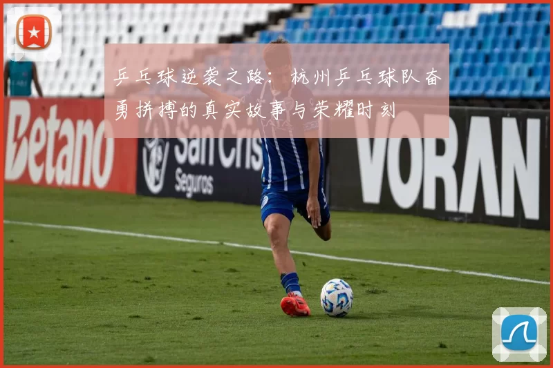乒乓球逆袭之路:杭州乒乓球队奋勇拼搏的真实故事与荣耀时刻