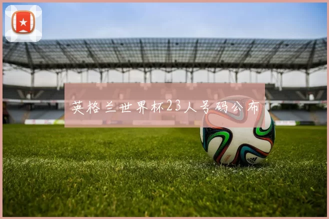 英格兰世界杯23人号码公布