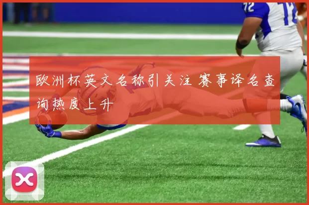 欧洲杯英文名称引关注 赛事译名查询热度上升