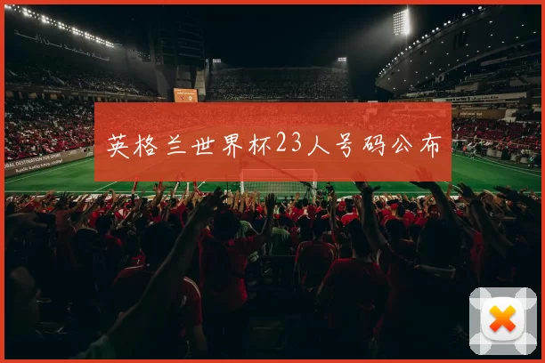 英格兰世界杯23人号码公布
