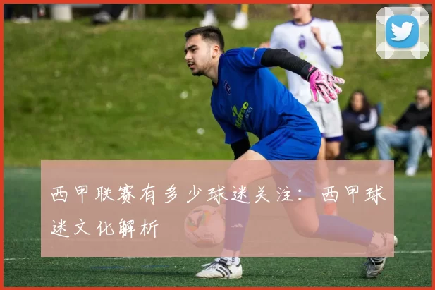 西甲联赛有多少球迷关注：西甲球迷文化解析