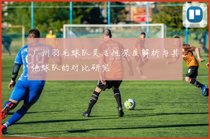 广州羽毛球队灵活性深度解析与其他球队的对比研究