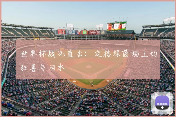 世界杯战况直击：定格绿茵场上的狂喜与泪水