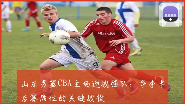 山东男篮CBA主场迎战强队，争夺季后赛席位的关键战役