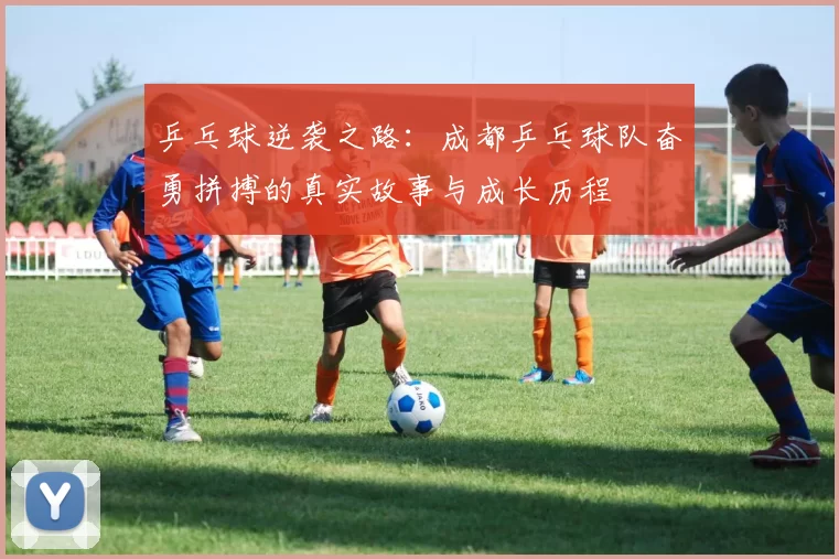 乒乓球逆袭之路：成都乒乓球队奋勇拼搏的真实故事与成长历程