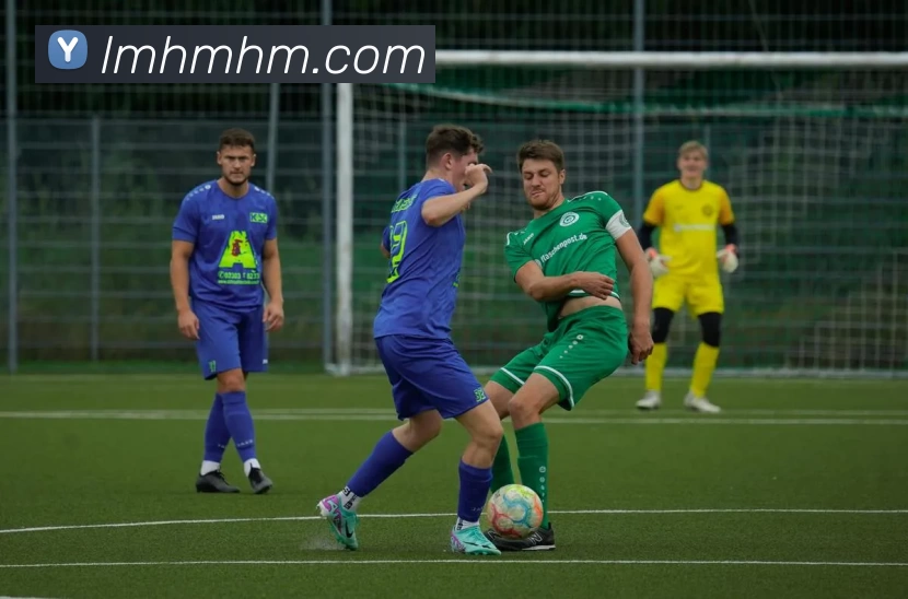 雅博appAPP 封面图